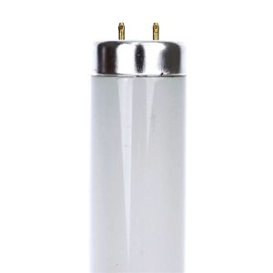 TUBO T12 BI-PIN